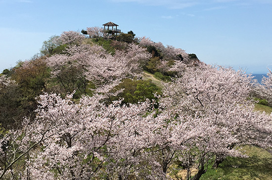 高津子山