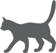 ねこちゃんイメージ