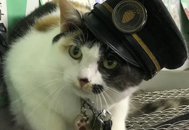 たま駅長 よんたま